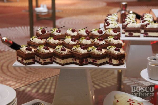 Bosco Coference InvestPro Baku 2016 508