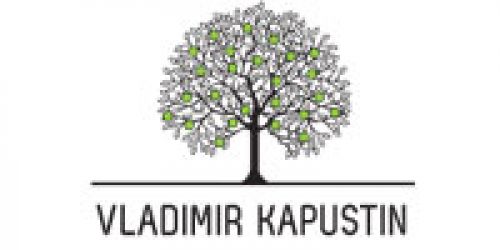 Vladimir Kapustin Law Buro